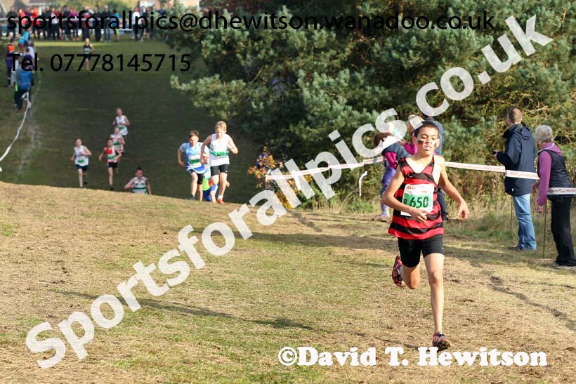 Boys under-13s, National Cross Country Relays, Berry Park, Mansfield. Photo: David T. Hewitson/Sports for All Pics